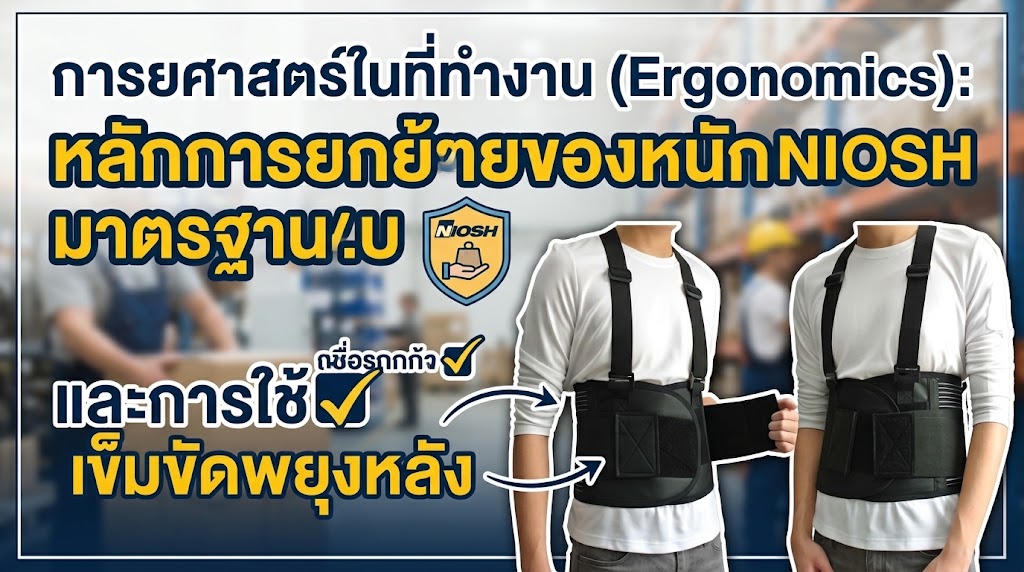 การยศาสตร์ในที่ทำงาน (Ergonomics): หลักการยกย้ายของหนักตามมาตรฐาน NIOSH และการใช้เข็มขัดพยุงหลัง